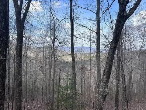 tbd Pack Mountain Rd, Murphy, NC 28906 photo 18