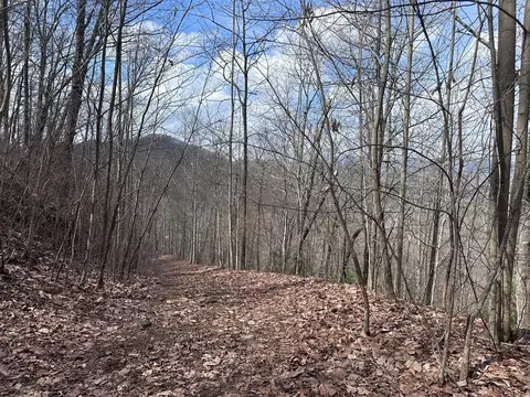 tbd Pack Mountain Rd, Murphy, NC 28906 photo 21