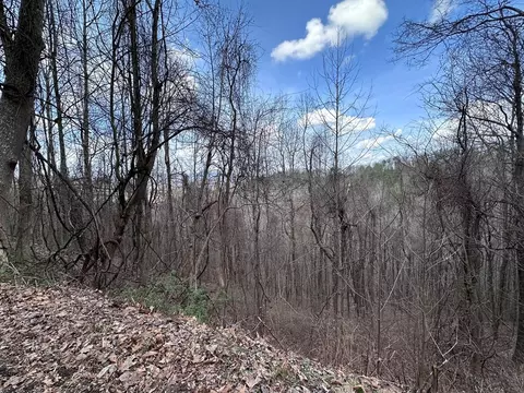 tbd Pack Mountain Rd, Murphy, NC 28906 photo 34