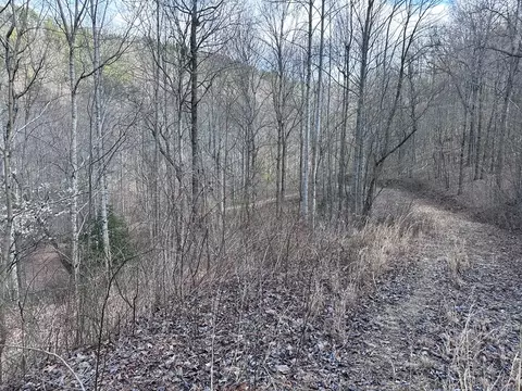 tbd Pack Mountain Rd, Murphy, NC 28906 photo 37
