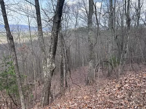 tbd Pack Mountain Rd, Murphy, NC 28906 photo 22