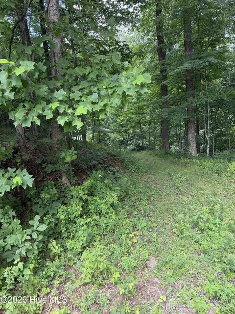 lot4 Outlook Rd, Murphy, NC 28906 photo 5