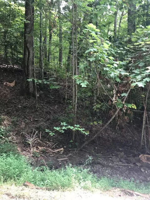 lot8 Vista Loop Road Rd, Topton, NC 28781