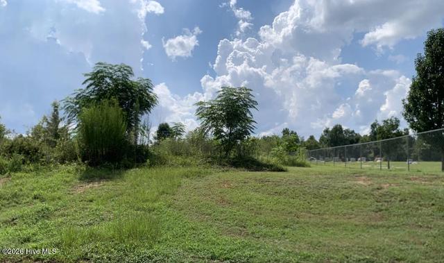 lot1 Murphy St, Midville, GA 30441