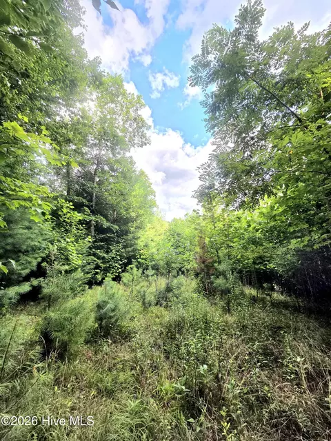 50 Camp Branch Rd, Topton, NC 28781