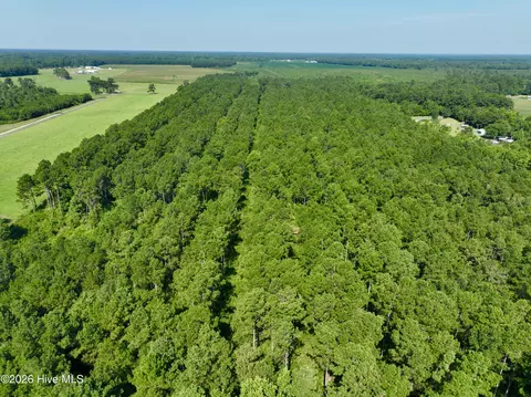 0 Cedar Fork Rd, Beulaville, NC 28518 photo 4