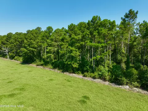 0 Cedar Fork Rd, Beulaville, NC 28518 photo 11