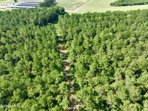 0 Cedar Fork Rd, Beulaville, NC 28518 photo 6