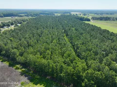 0 Cedar Fork Rd, Beulaville, NC 28518 photo 8