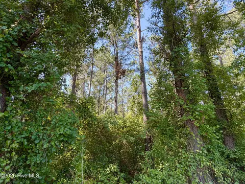 0 Cedar Fork Rd, Beulaville, NC 28518 photo 3