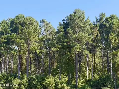 0 Cedar Fork Rd, Beulaville, NC 28518 photo 2