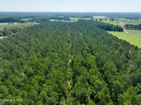 0 Cedar Fork Rd, Beulaville, NC 28518 photo 9