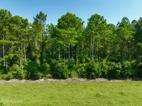 0 Cedar Fork Rd, Beulaville, NC 28518 photo 10