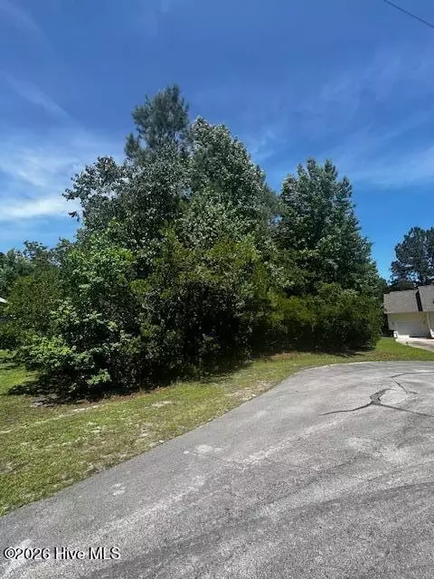 919 Hurricane Ct, New Bern, NC 28560