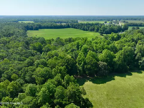 00 Cedar Fork Rd, Beulaville, NC 28518 photo 9