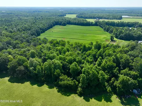 00 Cedar Fork Rd, Beulaville, NC 28518 photo 7