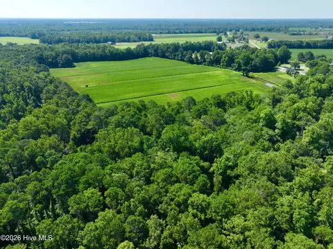 00 Cedar Fork Rd, Beulaville, NC 28518 photo 11