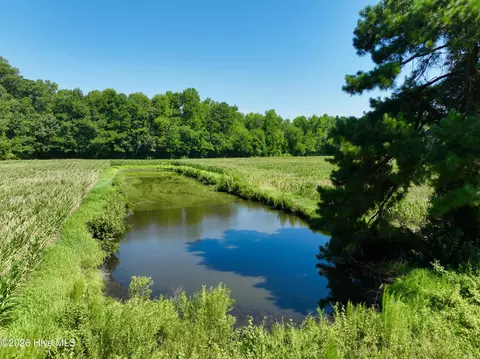 00 Cedar Fork Rd, Beulaville, NC 28518 photo 3