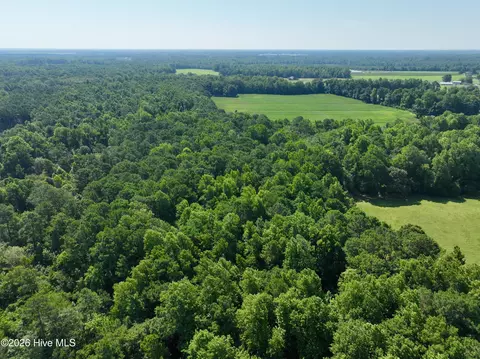 00 Cedar Fork Rd, Beulaville, NC 28518 photo 10