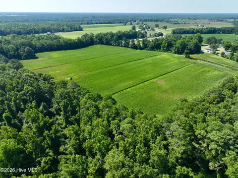 00 Cedar Fork Rd, Beulaville, NC 28518 photo 12