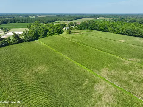 00 Cedar Fork Rd, Beulaville, NC 28518 photo 15