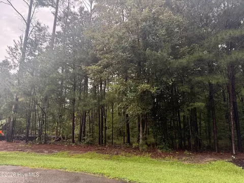 31 Bennetts Creek Drive Dr, Hertford, NC 27944