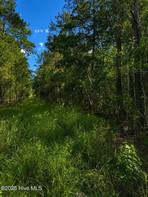tbd S Goldfinch Pl SE, Southport, NC 28461