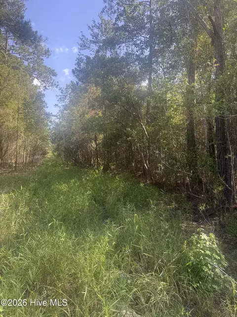 tbd S Goldfinch Pl SE, Southport, NC 28461