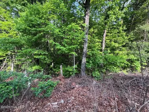 lot1 Leonard Ln, Murphy, NC 28906 photo 5