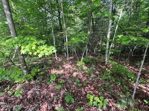 lot1 Leonard Ln, Murphy, NC 28906 photo 3