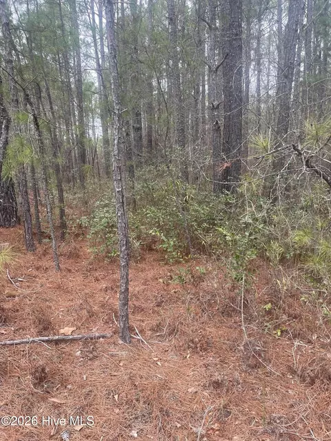 lot Apt 6 Bumpy Ln, Sanford, NC 27332 photo 2