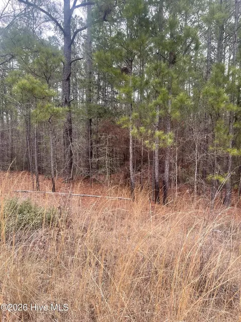 lot Apt 6 Bumpy Ln, Sanford, NC 27332 photo 4