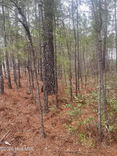 lot Apt 6 Bumpy Ln, Sanford, NC 27332 photo 3