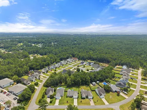 View/Area - 105 Penquin Pl, Hampstead, NC 28443 photo 4 of 7