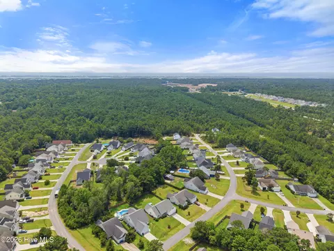 View/Area - 105 Penquin Pl, Hampstead, NC 28443 photo 5 of 7