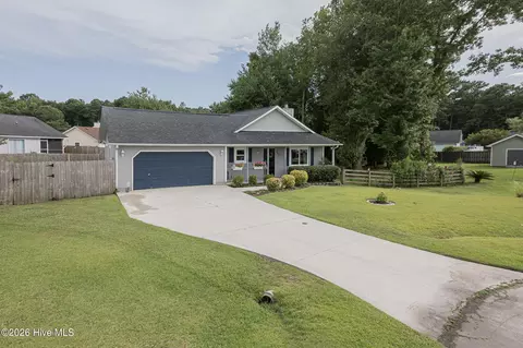 Exterior - 303 Mertz Ct, Hubert, NC 28539 photo 8 of 9