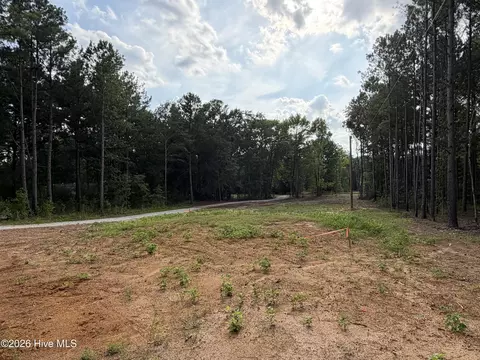 Other - 1209 Stapleton Acres Rd, Stapleton, GA 30823 photo 14 of 16
