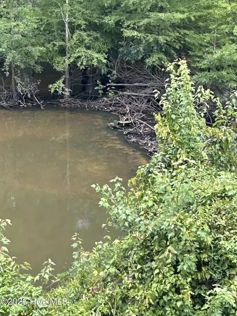 0 S Hwy 221, Adrian, GA 31002 photo 3