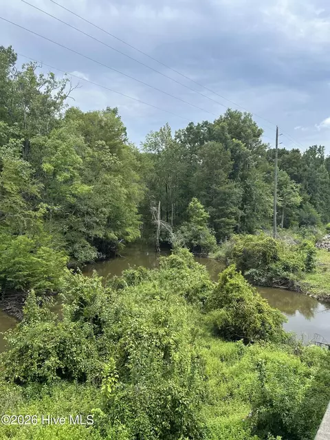 0 S Hwy 221, Adrian, GA 31002 photo 4