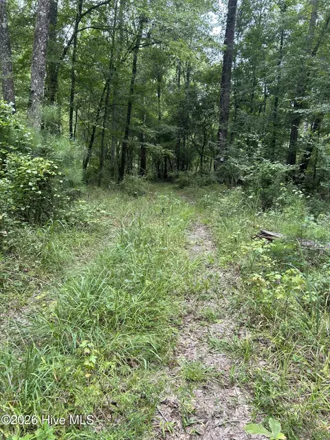 0 S Hwy 221, Adrian, GA 31002 photo 2