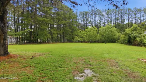 9111 Pace Rd, Bailey, NC 27807 photo 37