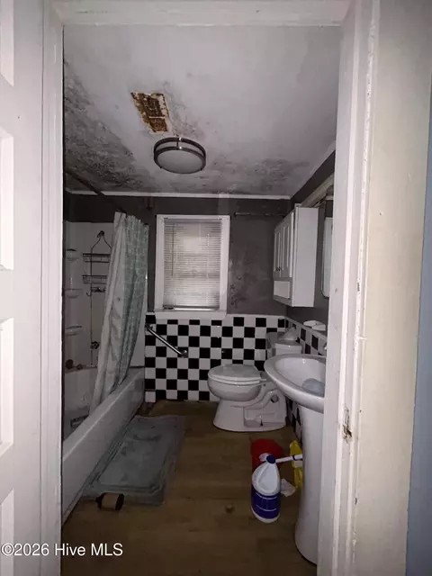 Bath - 308 Wondertown Dr, Erwin, NC 28339 photo 3 of 4