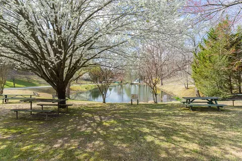 Other - 509 Lonesome Pine Rd, Murphy, NC 28906 photo 9 of 14