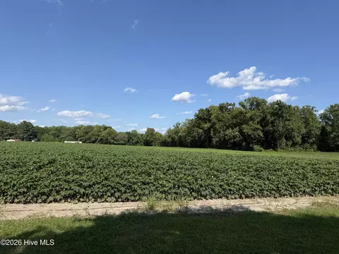 3085 Fire Dept Rd, Williamston, NC 27892 photo 8