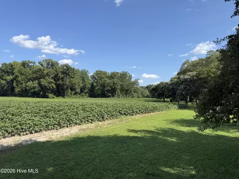 3085 Fire Dept Rd, Williamston, NC 27892 photo 6