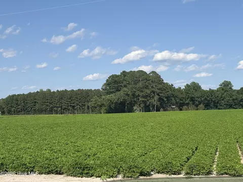 3085 Fire Dept Rd, Williamston, NC 27892 photo 18