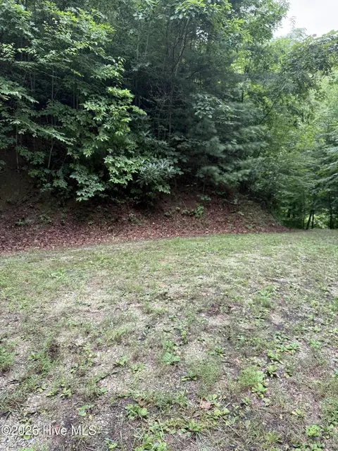 lot4 Mountain Vista Ln, Topton, NC 28781
