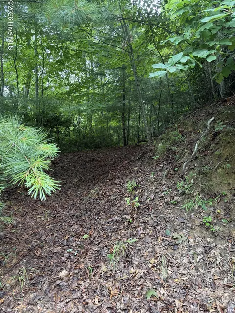 lot3 Mountain Vista Ln, Topton, NC 28781