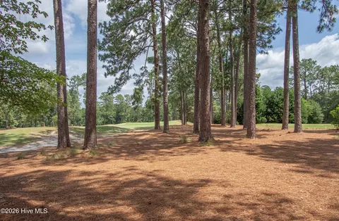 Exterior - 185 Baltusrol Ln, Pinehurst, NC 28374 photo 10 of 18