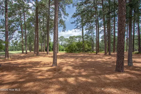 Exterior - 185 Baltusrol Ln, Pinehurst, NC 28374 photo 11 of 18